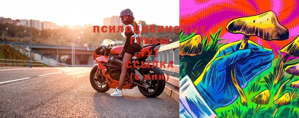дживик Карпинск