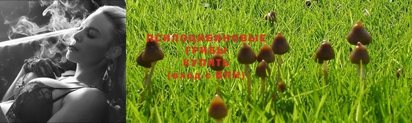 spice Касимов