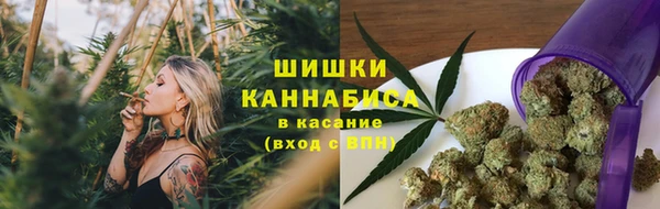 дживик Карпинск
