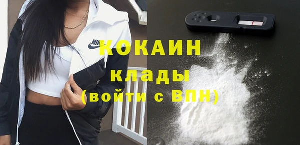 COCAINE Богородицк