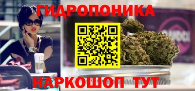 не бодяженный Бийск