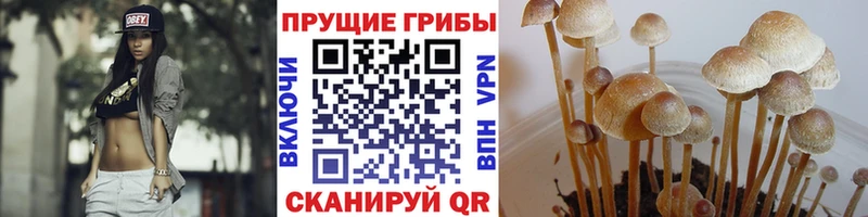 Галлюциногенные грибы Magic Shrooms  как найти наркотики  Златоуст 