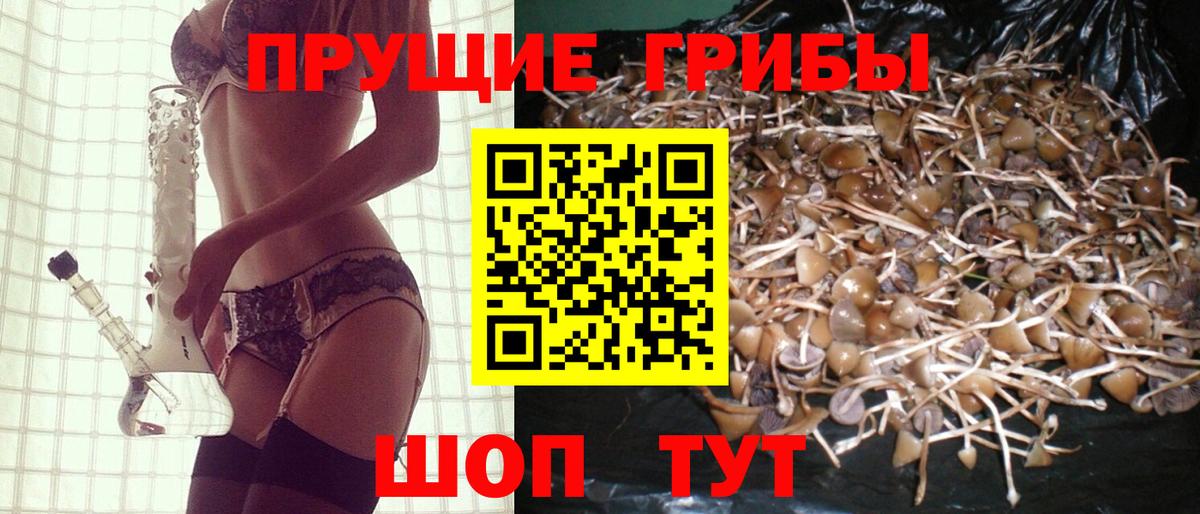 Златоуст  Галлюциногенные грибы мухоморы  Вход с VPN 