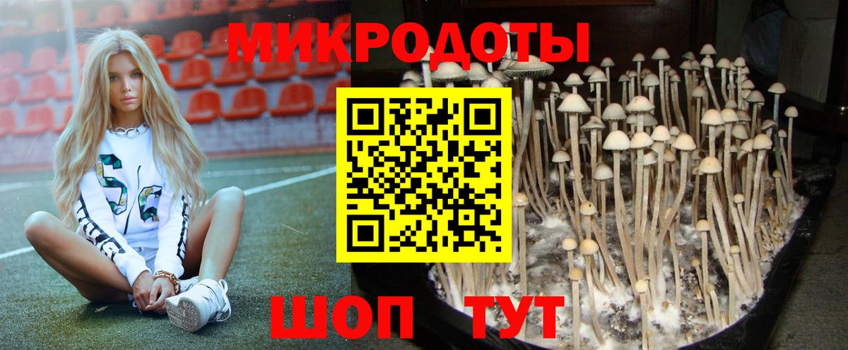 Галлюциногенные грибы Psilocybe Златоуст