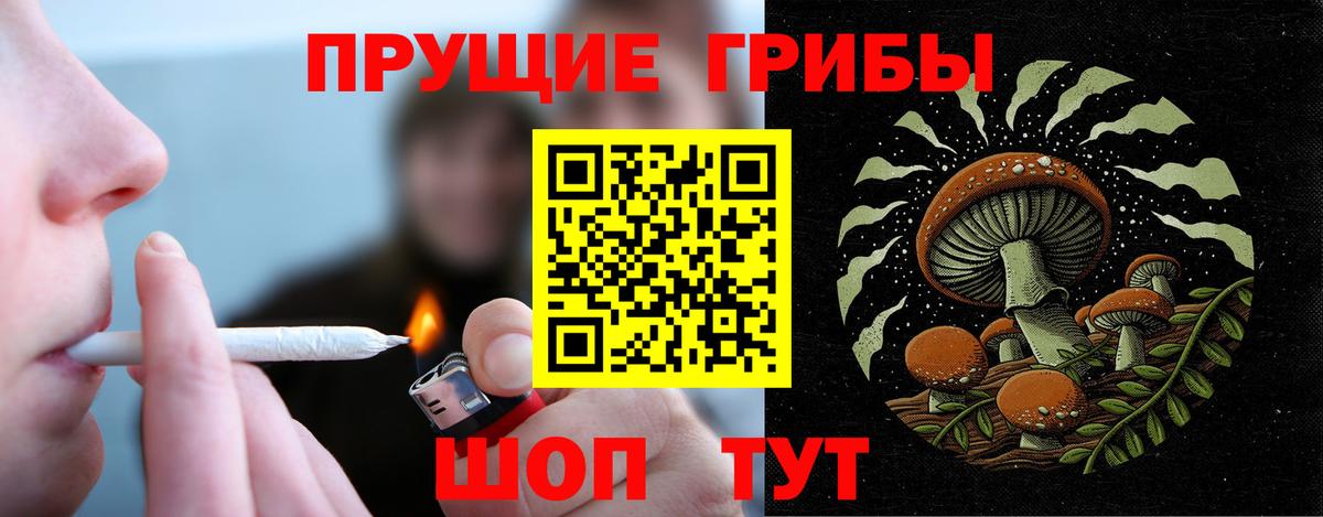 Галлюциногенные грибы Psilocybe  Златоуст  Галлюциногенные грибы прущие грибы 