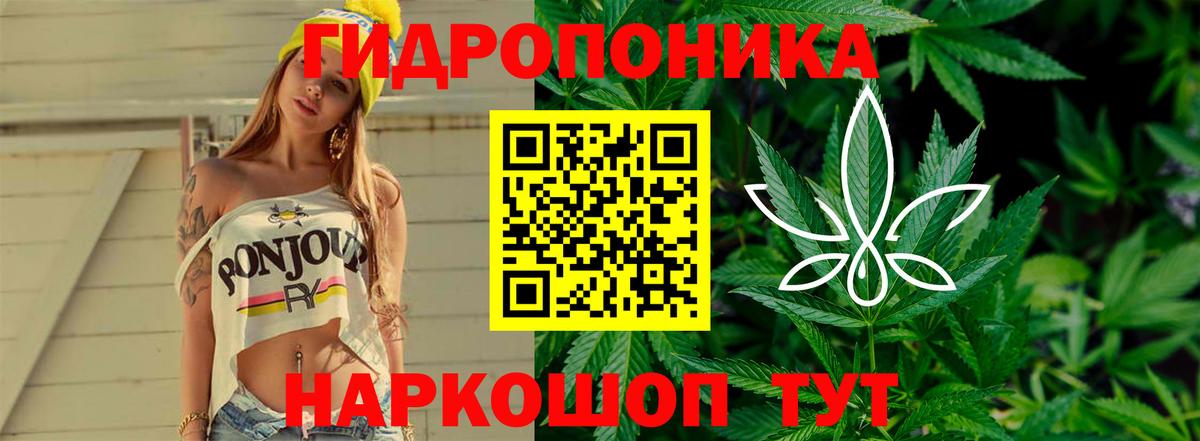 Златоуст  Каннабис планчик  Бошки Шишки семена  Шишки марихуана ГИДРОПОН  Вход с VPN 